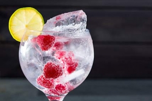 More than 60 different gins to enjoy your perfect Gin & Tonic